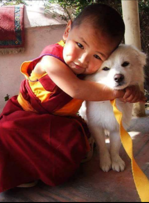 Screenshot_20170529-123623